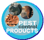 Pest Control. Pest Control Services 